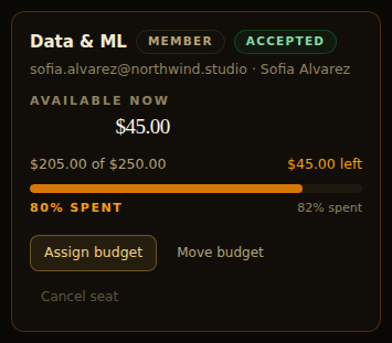 The budget card of a demo seat, in amber: $45.00 available, $205.00 of $250.00 spent, 82% of the budget.